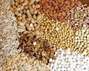 Artık Kuruyemiş de Üniversitelerde