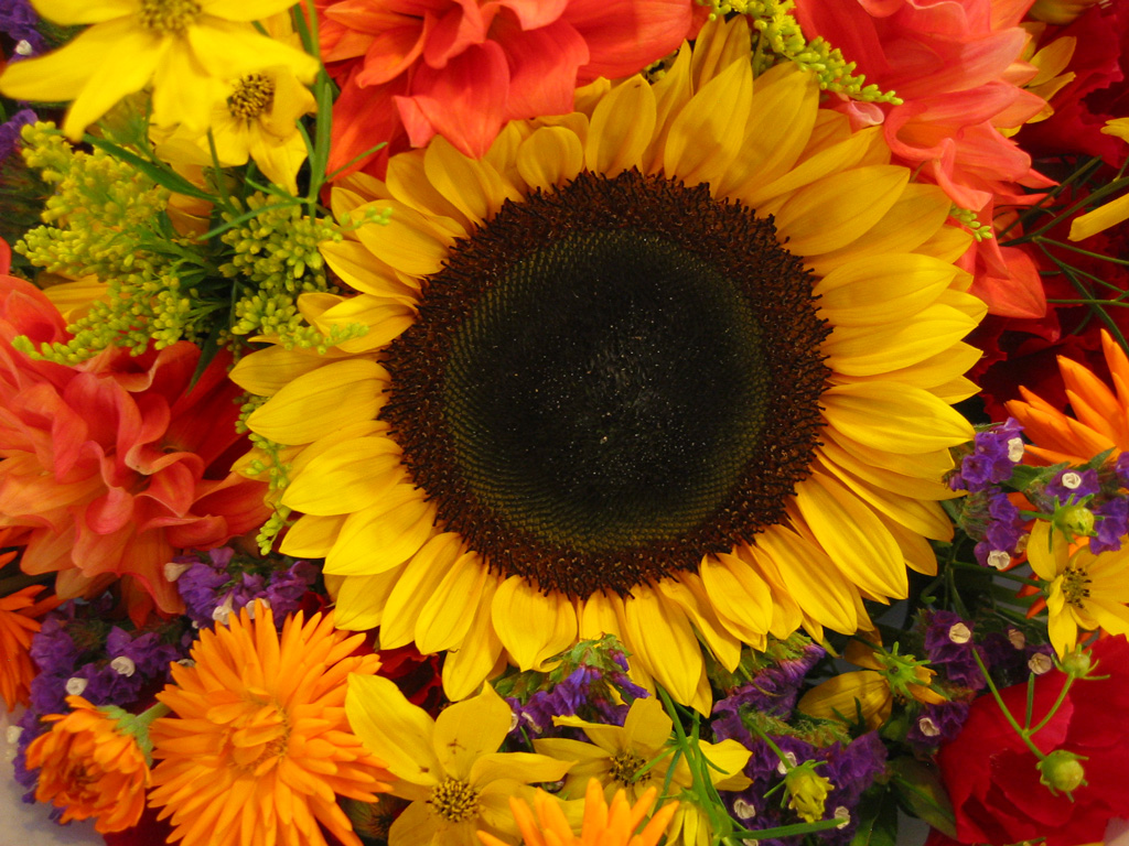 Hergün Annelerin Günü Olsun