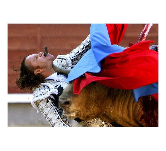 Ölüm darbesi bu kez boğadan