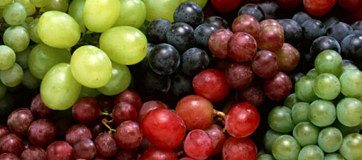 Avrupa'da ilaç olarak satılıyor