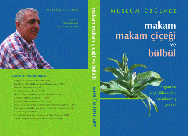 “Makam, Makam Çiçeği ve Bülbül”