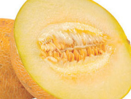 Kavun sinirleri birebir