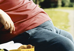 Obeziteyle Beynin İlişkisi