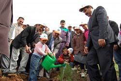 Her doğan ve ölen için ağaç