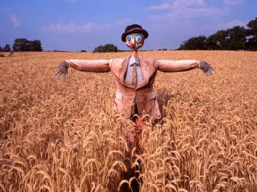 Ürküten Rapor: 150 bin hektar...