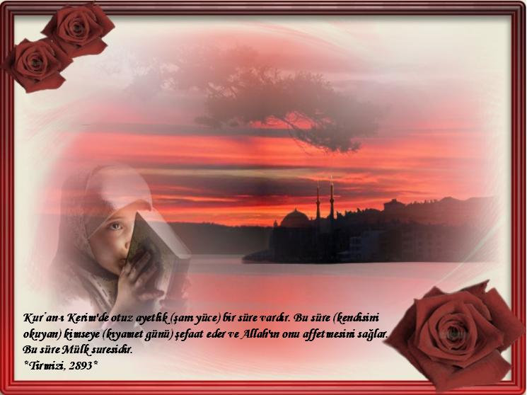 ŞEFAAT İSTENİR Mİ ?