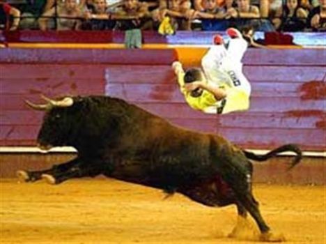 Boğa tribüne daldı: 18 yaralı