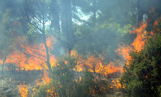 2/B en çok hangi ilçelerde var?