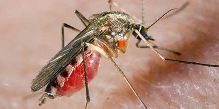 Virüs tehdit etmeye başladı