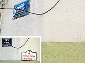 Sezen Aksu'ya büyük ayıp!