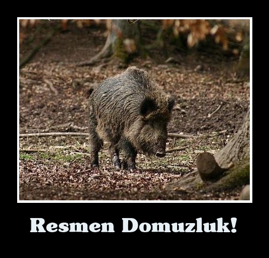 İsrail bunu da yaptı