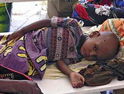 Ölü sayısı 643'e yükseldi