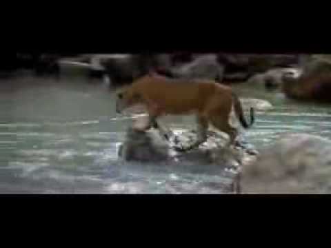 Dehşet bişey, mutlaka izleyin!