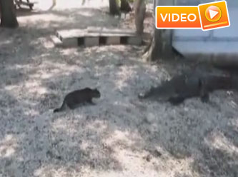 ABD bu görüntüyü konuşuyor