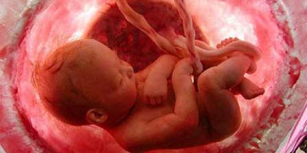 348 insan cenini bulundu