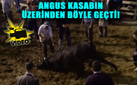 Angus kasabı tuş etti
