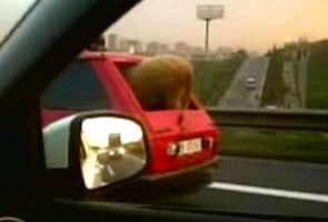 Kamera Şakası değil gerçek