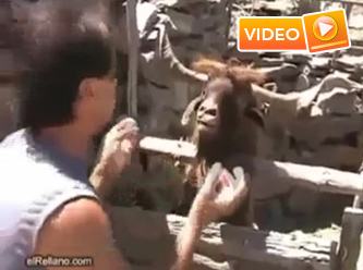 İşte internette en çok izlenenler