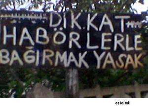 Yurdum insanı gene güldürdü