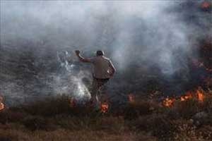 İşte İsrail'i yakan çocuk