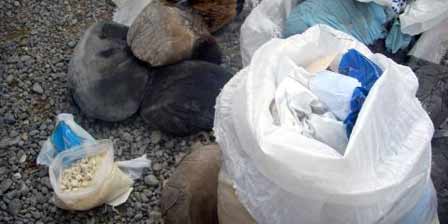 Afganistan'da uyuşturucu üretimi düştü