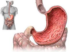 Mide kanserinde erken tanı