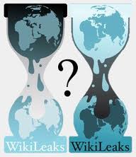 WikiLeaks köstebeğine işkence