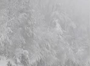 Kartepe'de kaybolan 2 kişiye ulaşıldı