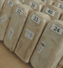 Malatya'da 7 bin 500 kök Hint keneviri ele geçirildi