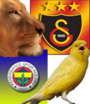 Fenerbahçe galibiyet serisini sürdürüyor