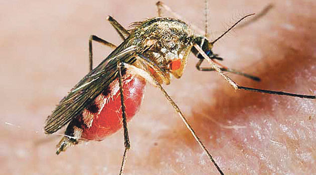 Viral enfeksiyonlara dikkat