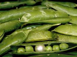 Japonya'dan ithal bezelyede radyasyon