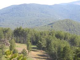 Kayıp kişinin cesedi bulundu