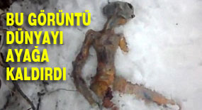 Bu görüntü ortalığı ayağa kaldırdı