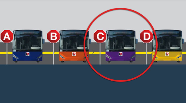 İstanbullu, otobüsünün rengini seçti