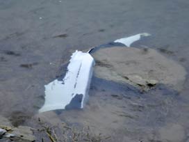 Otomobil dereye uçtu: 4 ölü