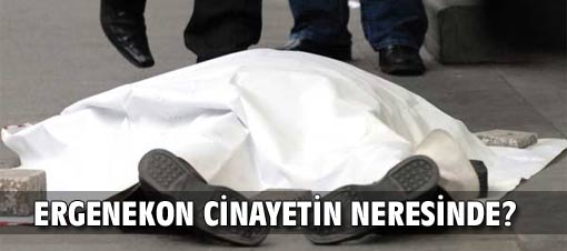 Dink suikastine ergenekon incelemesi