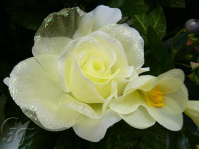 Kadınların;Eşlerinden Beklentileri!