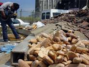 Bir tarafta açlık diğer tarafta çöpe atılan ekmek