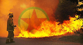 Cizre'de PKK yandaşları gösteri yaptı