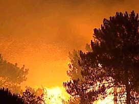 Atina yakınlarında yangın var