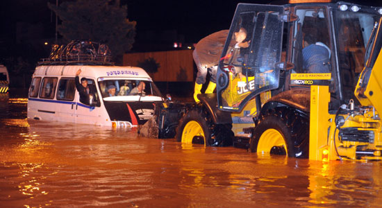 Antalya'da araçların içinde can pazarı