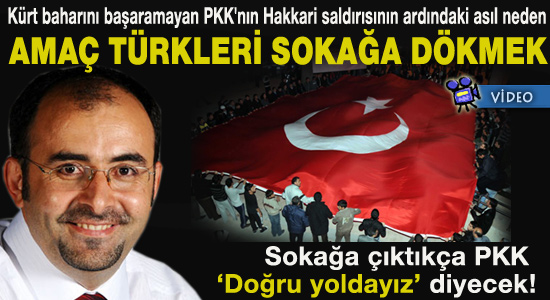 Emre Uslu: Amaç Türkleri sokağa dökmek