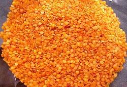 Çiftçilere Destek. Batman'da152 ton mercimek tohumu dağıtıldı