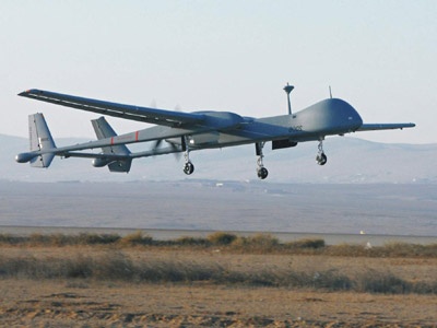 Adana sahilinde İsrail Heronu