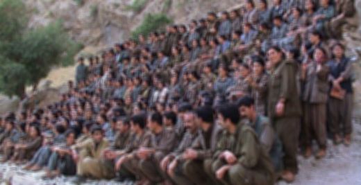 PKK'nın milis yapılanması çökertildi