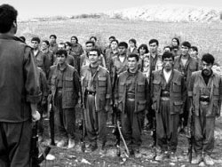 PKK'nın telaşlı telsiz konuşmaları