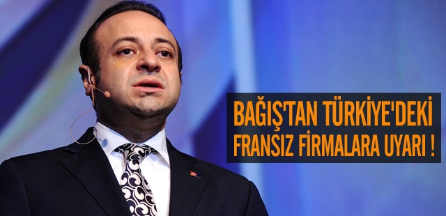 "Ermeni tasarısı Fransız firmaların sorunudur"