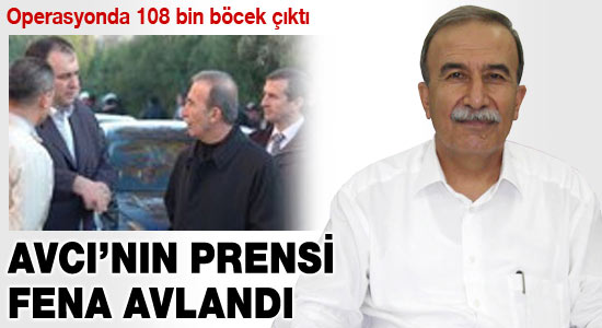 Operasyonda 108 bin böcek çıktı