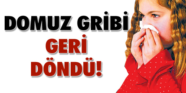 "Domuz gribi var ama korkmayın"